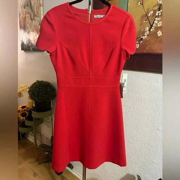 Eliza J. Shortsleeved dress size 4 - Picture 1 of 9
